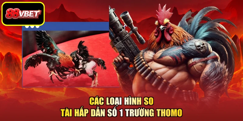 Các loại hình so tài hấp dẫn số 1 trường Thomo