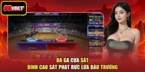 Đá Gà Cựa Sắt - Đỉnh Cao Sát Phạt Rực Lửa Đấu Trường