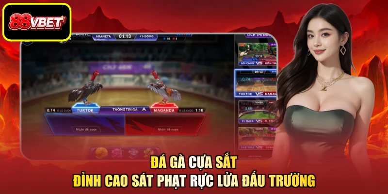 Đá Gà Cựa Sắt - Đỉnh Cao Sát Phạt Rực Lửa Đấu Trường