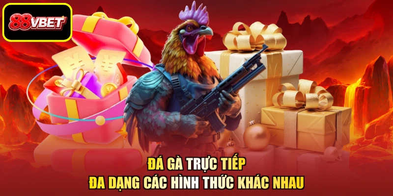 Đá gà trực tiếp đa dạng các hình thức khác nhau