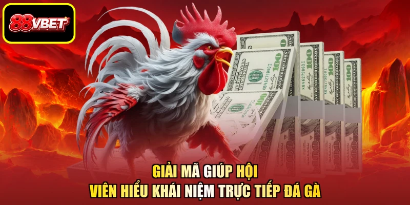 Giải mã giúp hội viên hiểu khái niệm trực tiếp đá gà