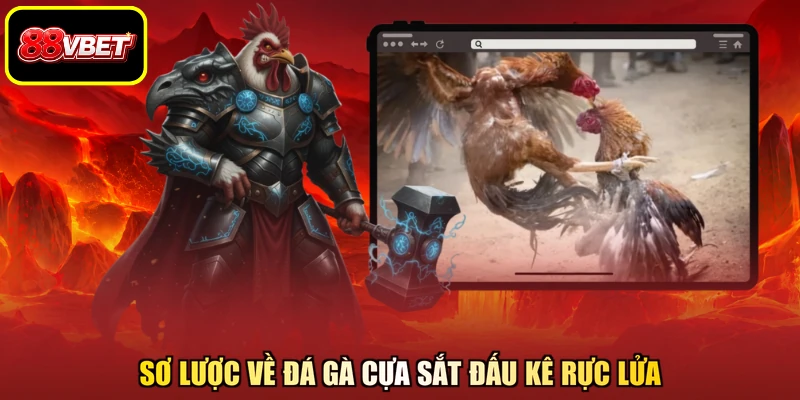 Sơ lược về đá gà cựa sắt đấu kê rực lửa