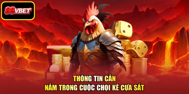 Thông tin cần nắm trong cuộc chọi kê cựa sắt